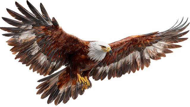 Bald Eagle with Wings Fully Spread – Isolated on Transparent Background