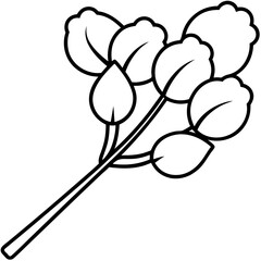 Cotton swabs line art vector