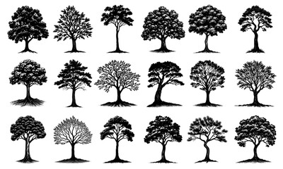 Collection of tree silhouettes in a hand-drawn ink style, black on white