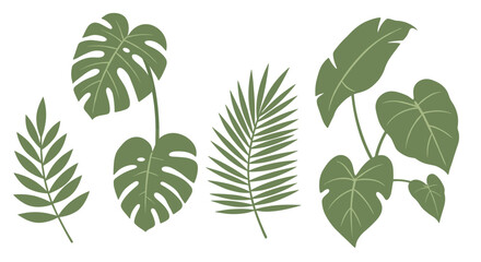 Tropical green leaf illustrations in minimalist style  