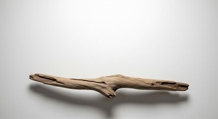 Weathered Driftwood Branch: Minimalist Studio Shot, Natural Light, Neutral Tones.