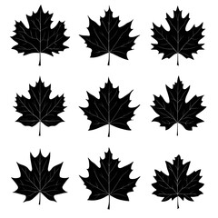 set of autumn leaves, black leaves on a white background