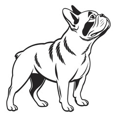 Fototapeta premium Pug Dog Vector SVG – Cute and Funny Flat Cartoon Pet Illustration for Dog Breed and Animal Design Projects
