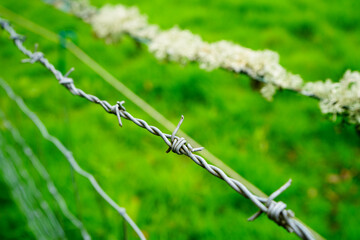 A fence in a field with an electric fence 