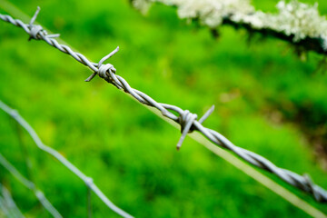 A fence in a field with an electric fence 