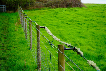 A fence in a field with an electric fence 