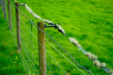 A fence in a field with an electric fence 