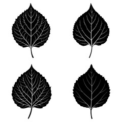 Obraz premium Four black leaf silhouettes with detailed veins arranged on a white background in a square format