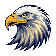 Bald eagle head vector art