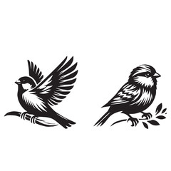 sparrow set silhouette tattoo,sparrow silhouette flying ,sparrow silhouette pictures ,jack sparrow set silhouette