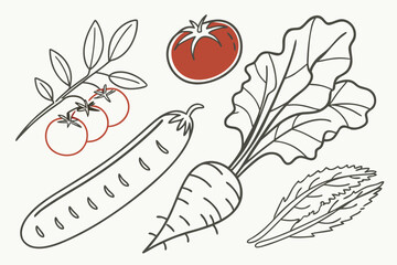 Assortment of fresh vegetables on white background