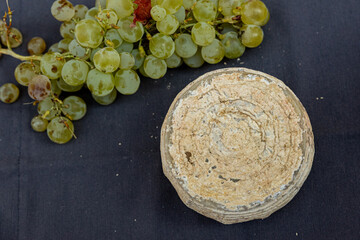 Dairy delight, premium-quality artisan cheese