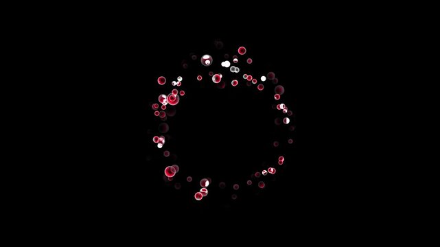 red bubble circle frame animation video