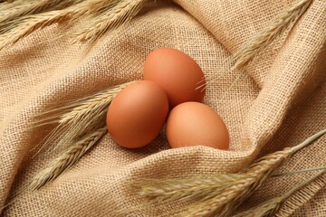 Fresh eggs and spikes on burlap cloth, closeup