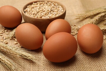 Fresh eggs, grains and spikes on burlap cloth, closeup