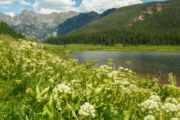 Piney river Ranch near Vail Colorado during Summer.