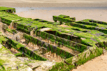Bunker remains from the Pointe du Hoc defense in Normandy, algae and seaweed