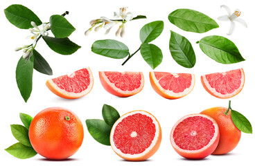 Naklejka premium Fresh grapefruits, green leaves and flowers on white background, collage