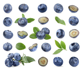 Fresh blueberries and green leaves isolated on white, collage