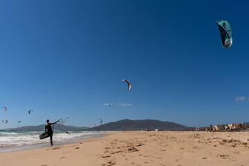 Kitesurfer preparing to enter the ocean with a large blue kite, surrounded by dozens of kites...