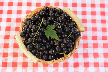 Fresh ripe black currant with leaf in a small basket. Gardening, harvest, healthy food concept