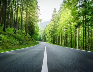 Obraz premium asphalt road in a green forest