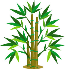 Obraz premium Bamboo Tree icon 