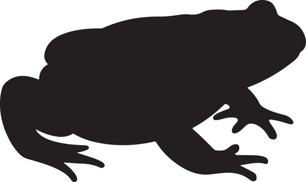 "Jumping Frog Silhouette Vector"

"Cute Cartoon Frog Clipart"

"Tree Frog Outline Design"

"Frog on Lily Pad Silhouette"

"Tropical Amphibian Frog Vector Art"