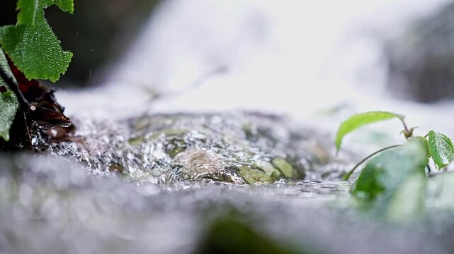 Pov close-up of fresh mountain water cascading off a rocky cliff in Karnataka's Western Ghats