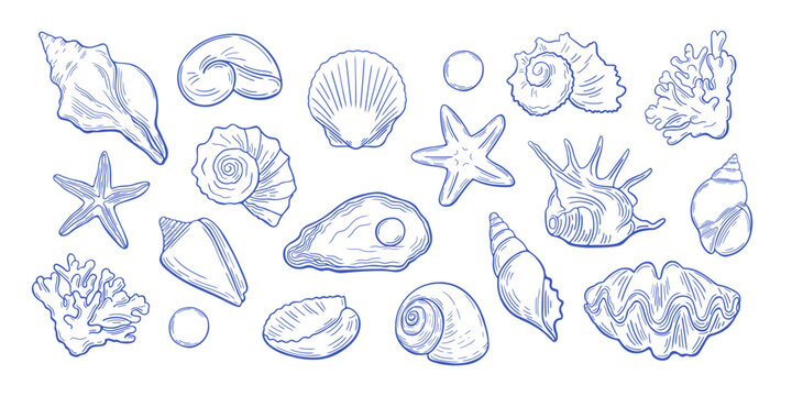 Set of hand-drawn blue marine elements. Coastal nautical seashells, starfish, corals, pearls in vintage sketch style. Line art of ocean-themed for branding design, decor, beach wedding invitations.