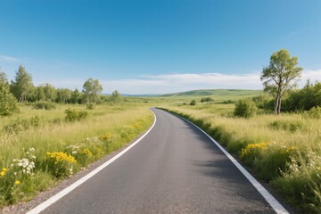 Lonely Road Through Wild Landscape