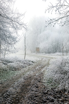 Winter landscape background
