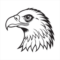 Wings of the North: Exploring the Steller’s Sea Eagle in the Wild