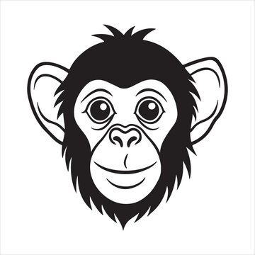 Jungle Swinger: The Energetic Life of the Spider Monkey