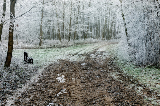 Winter landscape background