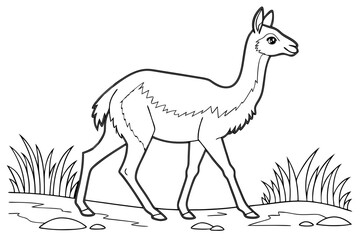 coloring page line art the vicuna black vector
