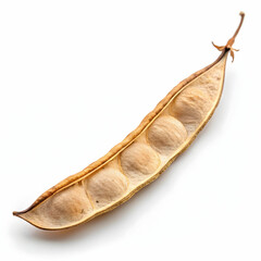 Obraz premium A single dried lentil pod is positioned diagonally, showcasing its natural texture