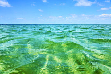 Azure sea surface near the coastline. Bright and fresh seascape on a sunny day.