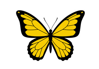 Black and Yellow Butterfly Illustration | Tropical Insect Clipart | Colorful Winged Bug Drawing | Nature Wildlife Art | Exotic Garden Design

