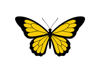 Black and Yellow Butterfly Illustration | Tropical Insect Clipart | Colorful Winged Bug Drawing | Nature Wildlife Art | Exotic Garden Design

