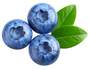 Obraz premium Top View of Three Blueberries with Overlapping Leaf Accent, Isolated PNG