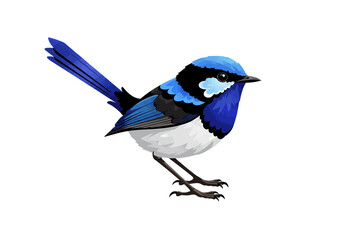 Blue Fairy Wren Bird Illustration | Small Songbird Clipart | Colorful Wildlife Art | Nature Feathered Animal Drawing | Cute Forest Bird Design

