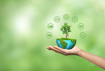 Sustainable development concept background. ecology and world sustainable environment concept....