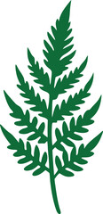 vector illustration of a green leaf