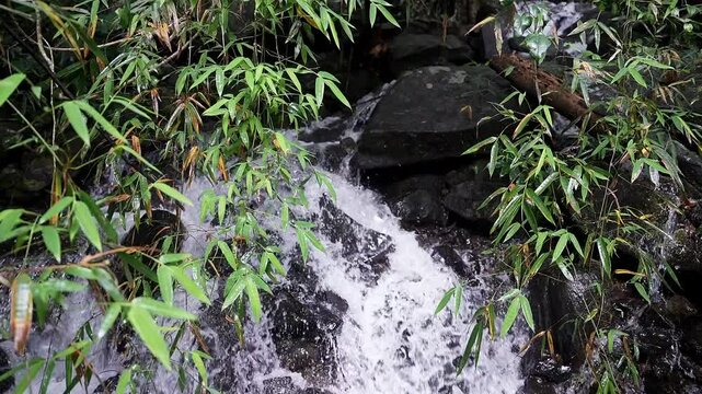 Cinematic pan shot of fresh mountain water cascading off a rocky cliff in Karnataka's Western Ghats