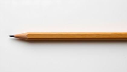 wooden pencil with eraser resting on flat surface.