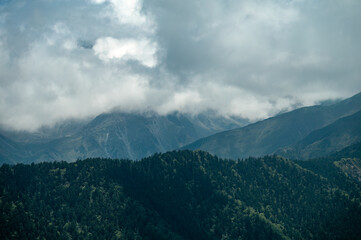 Fototapeta premium mountain forest landscape with clouds