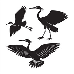 Fototapeta premium Little egret icon vector art
