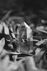  Crystal quartz on black and white 