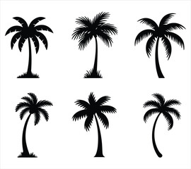 Clean Palm Tree Vector Silhouettes